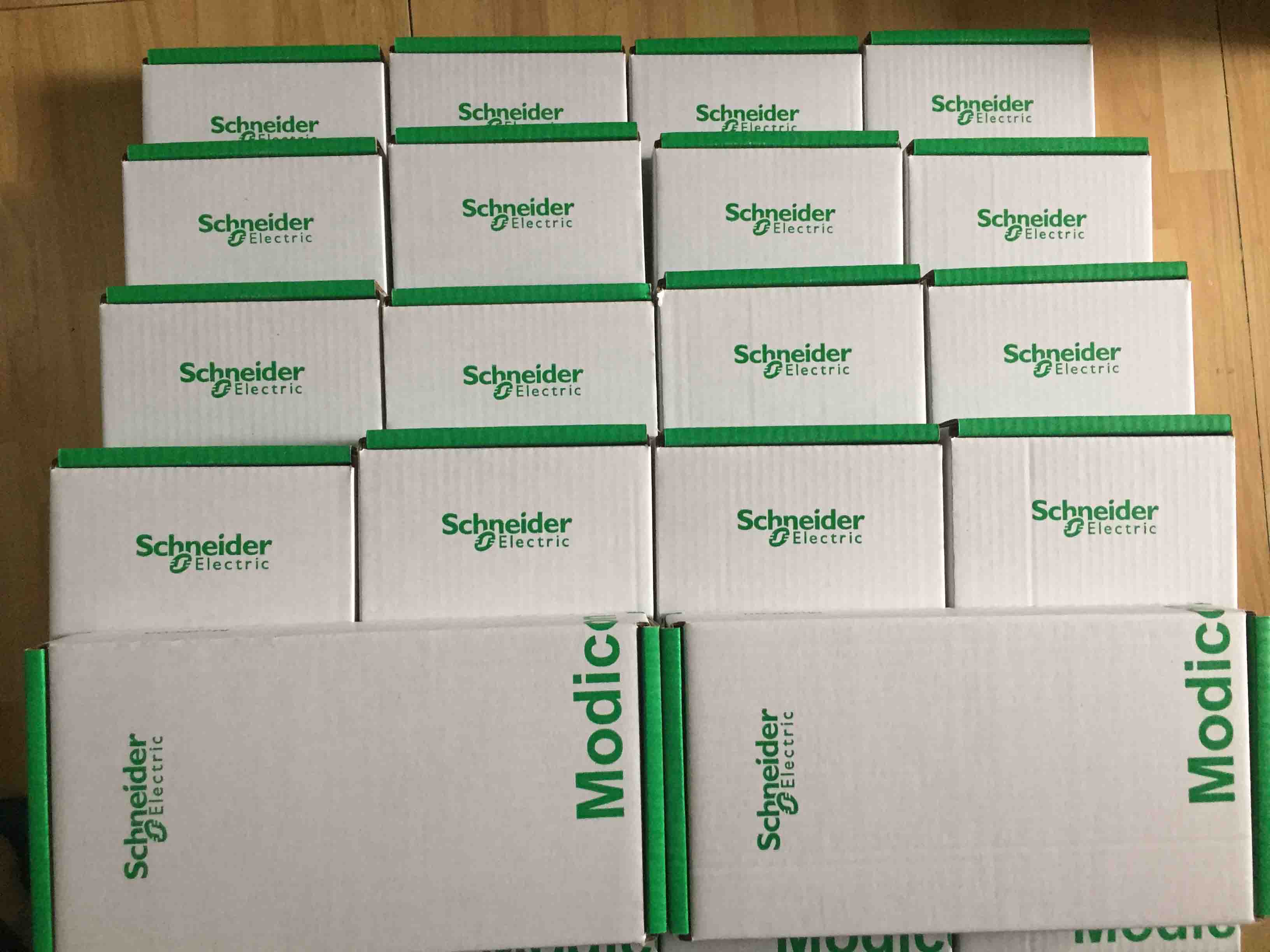 171CCC96030 Schneider processor adaptor Original Factory Sealed New